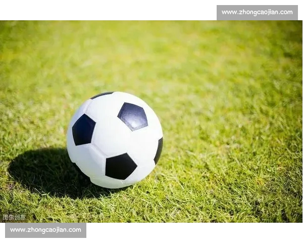 掌握篮球投注技巧全面提升比赛胜率与实战应变能力